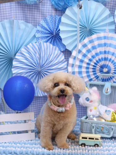 20231114クッキーくん